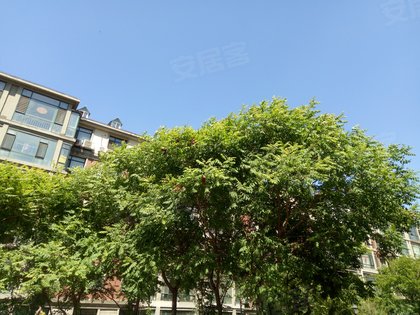 四隆花园,解放东路285号-鞍山四隆花园二手房,租房-鞍山安居客