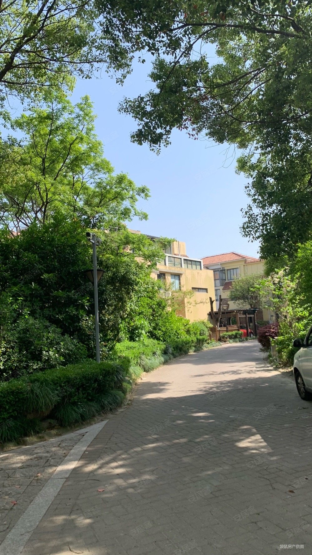 绿地21城c区别墅