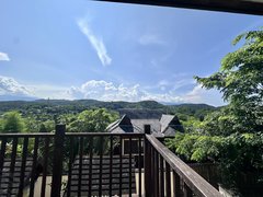 西双版纳景洪嘎洒城区悦景庄西双版纳(别墅) 2室2厅2卫出租房源真实图片