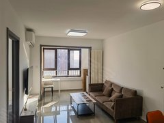 北京顺义李桥价可谈顺义机场附近临河两居出租南北通透电梯房高层好停车出租房源真实图片