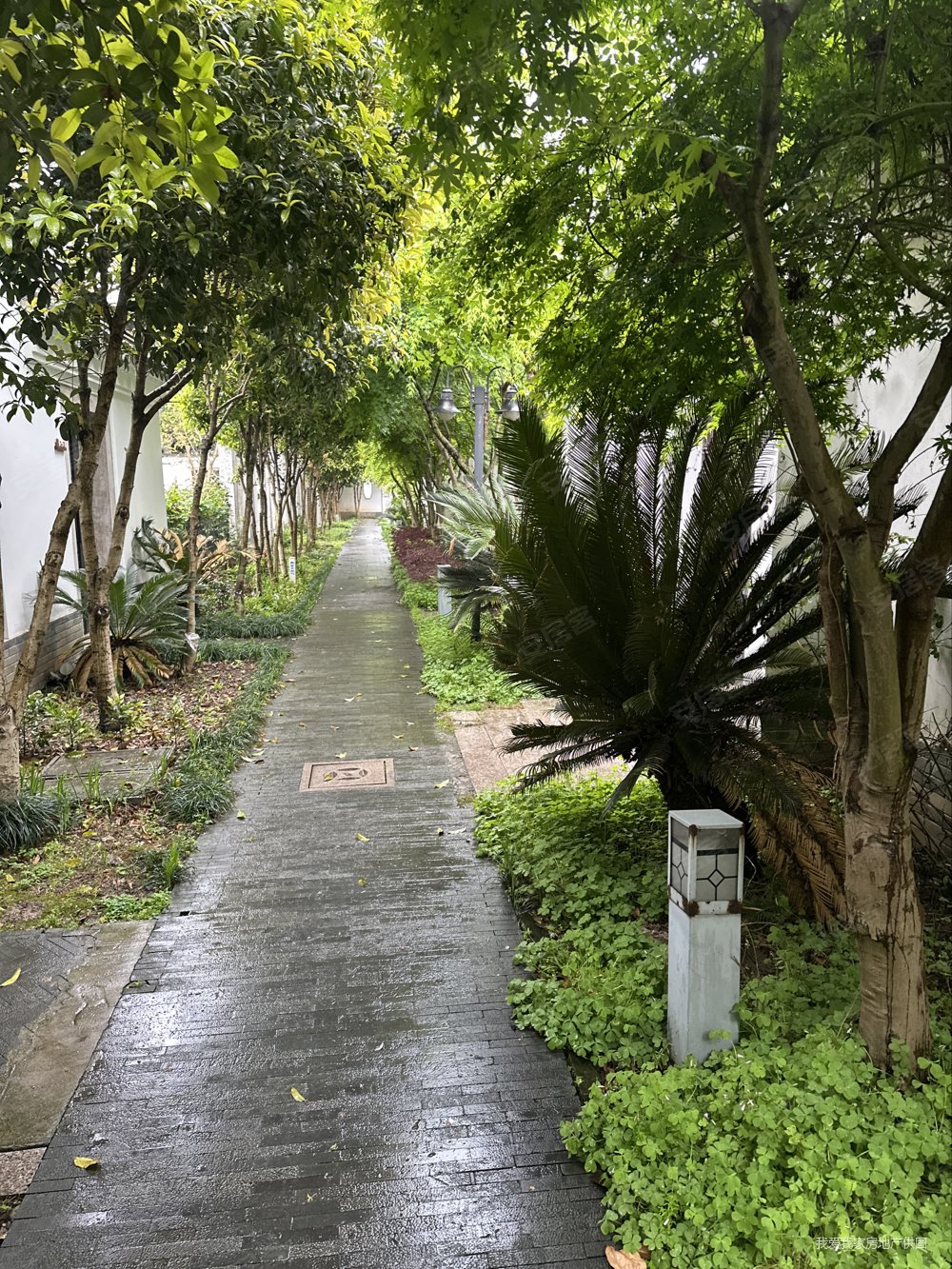 苏州房产网>苏州二手房>吴中二手房>甪直二手房>港岛花园(别墅)>