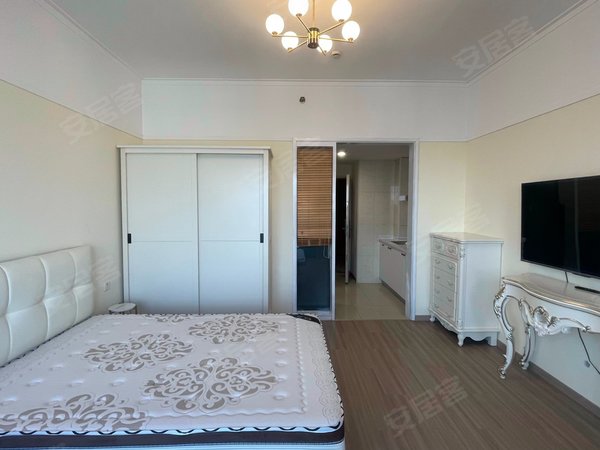 万达地铁口 高端公寓 48克拉 全新装修 实拍出租房源真实图片