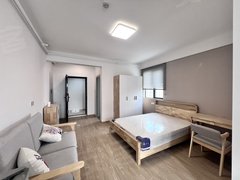 武汉洪山白沙洲白沙洲~5号线张家湾洪山万科~龙湖天街~超大1居室~可月付出租房源真实图片
