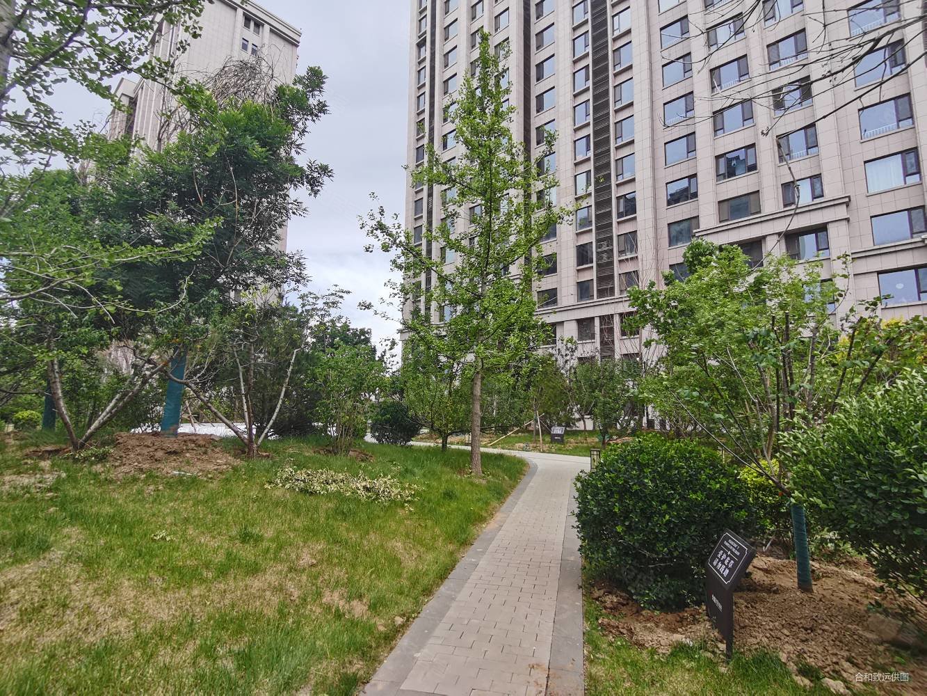 晋阳街光信晋阳嘉园直接办网签中间楼层院内八一一次性付