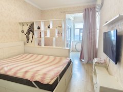 武汉黄陂盘龙城盘龙城7号线地铁口 奥特莱斯旁 精装1房 家具家电全齐出租房源真实图片