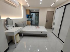 上海普陀长风13.15号线大渡河站.近长风公园,精装朝南,押一付一出租房源真实图片