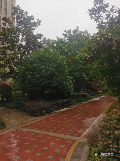 天地源丹轩梓园 洋房 南北通透 毛坯房诚心出售