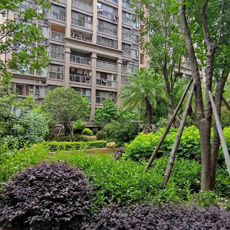 【佰悦春天, 佰悦春天小区详情,房价走势,房源,业主论坛】- 汕头58