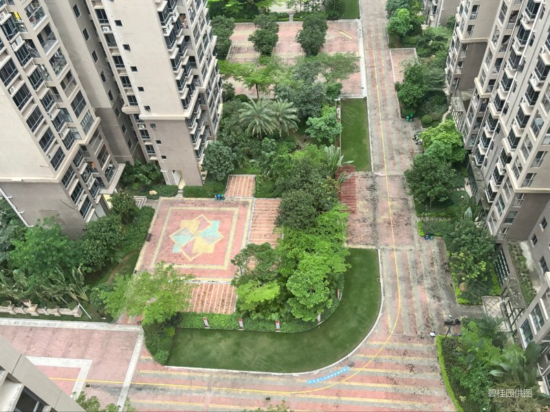 盛荟花园海油大厦体育馆惠民广场德洲中心城3房满五