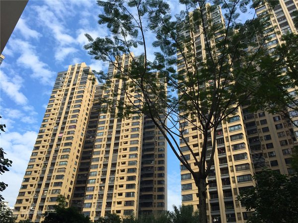 陈村绿地国际花都 三房两卫 家电齐全 小区环境舒适 近顺联