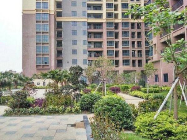 【多图】固戍花园,固戍租房,宝安固戍一号线直达南山,电梯,采光通风