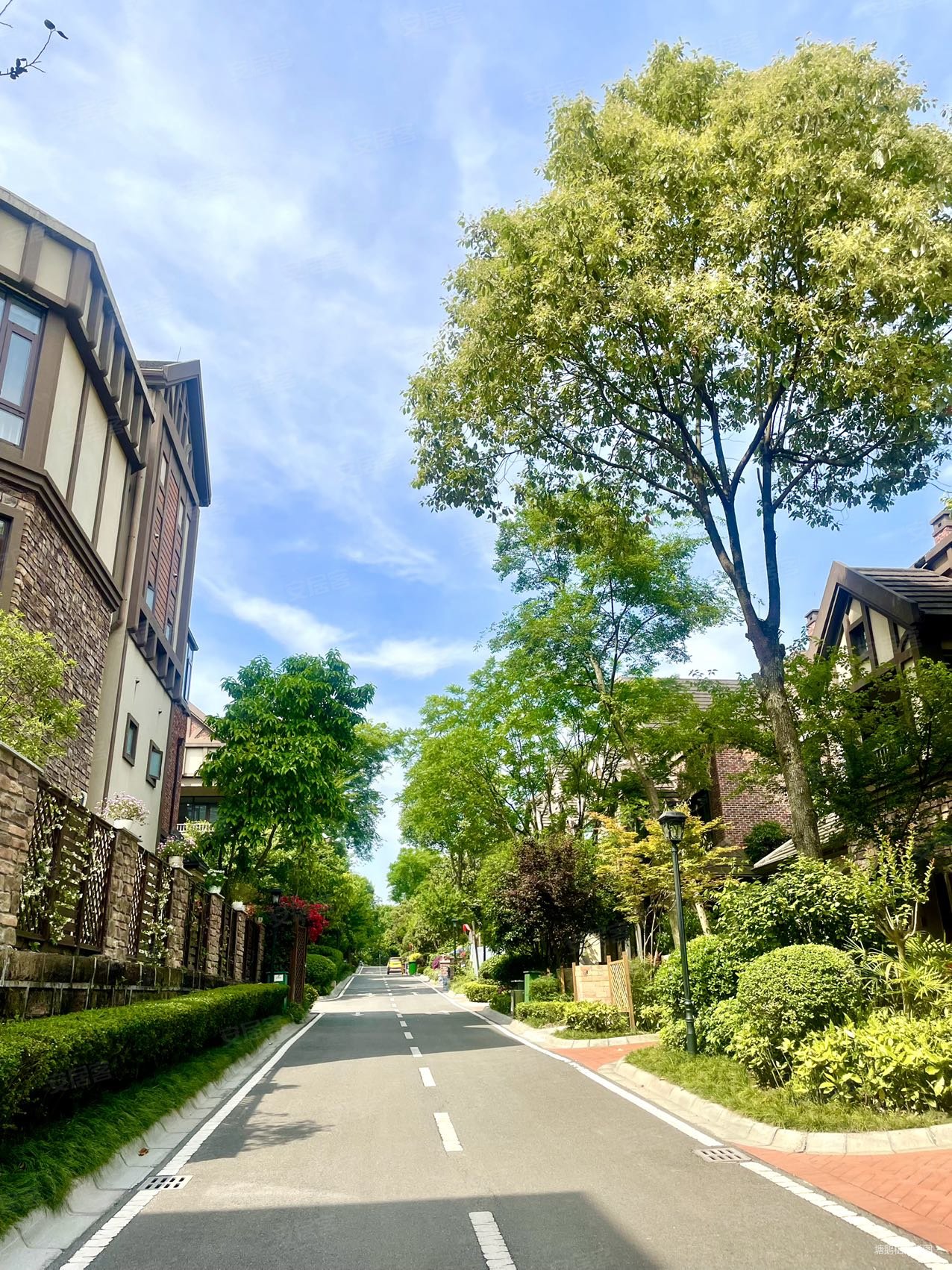 龙湖悠山郡二期320平对外围平层入户花园200