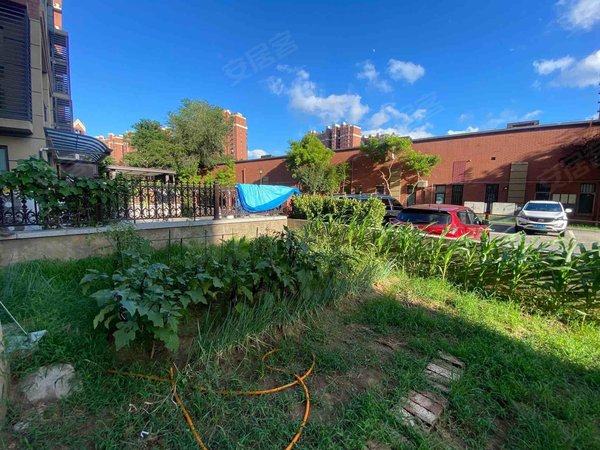 青岛城阳白云山公园青特小镇a区青特小镇a区 2室1厅1卫