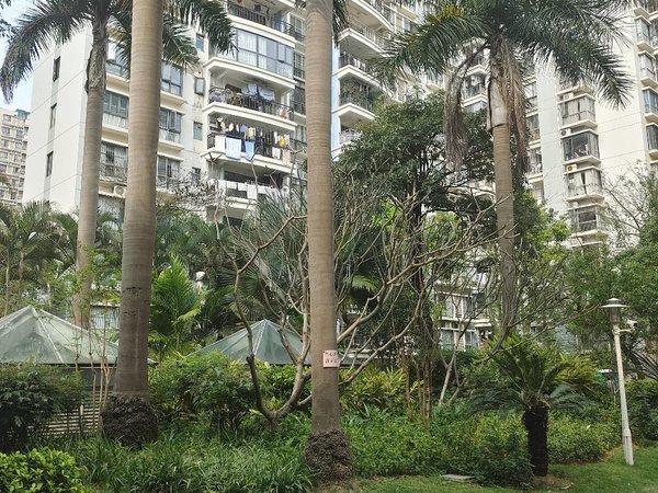 【多图】保利凤翔花园,凤岭北租房,航洋城 凤翔路 精装三房两厅两卫