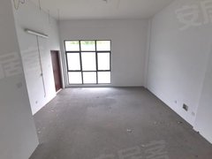 南京江宁九龙湖长租地铁口九龙湖畔别墅前后院子送地下室有车库毛坯办工住家均可出租房源真实图片