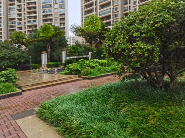 昆明呈贡大学城天润康园北区天润康园小区两室出租,包水电物业费1500