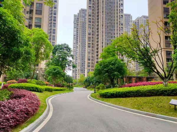 桂林临桂西城大道兴荣郡兴荣郡 2房1卫 2台空调1000包物业出租房源