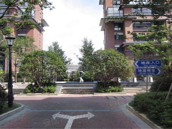 上海宝山大华梧桐城邦(三期别墅)网红,创业者,富豪来看看你们的金屋