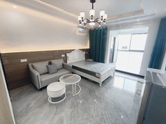 苏州工业园湖西苏都花园 师惠花苑 精装朝南阳台公寓 环球188旁 苏悦广场出租房源真实图片