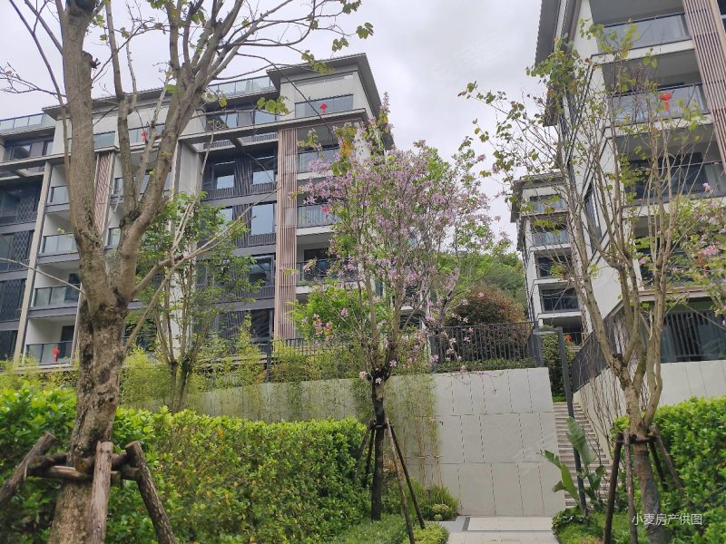 登云湖上叠别墅!国企现房,一手急售,环境优美.配套齐全