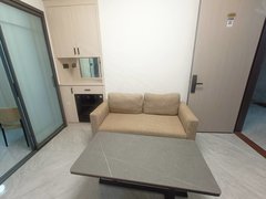 深圳龙岗坂田大发埔东村，通勤便利，采光通透，精装修，拧包入住，家具齐全出租房源真实图片