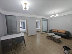 中央公园创客公寓 精装两房可办公可住家 楼下10号5号双轻轨