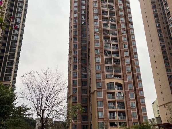 南宁兴宁东沟岭汇豪国际汇豪国际 3室2厅2卫 电梯房 精装修 南北通透