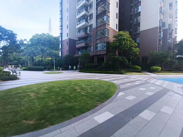 东莞凤岗凤岗中心凤岗碧桂园凤岗中心小学旁   碧桂园   新房出租