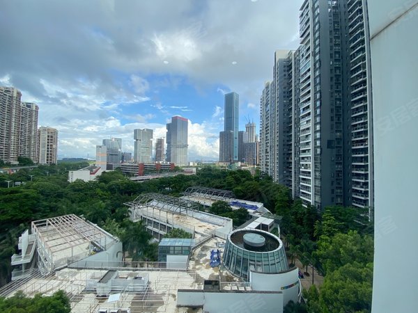 深圳南山华侨城中信红树湾(北区)新出 朝南向看深圳湾海景一房 带步入