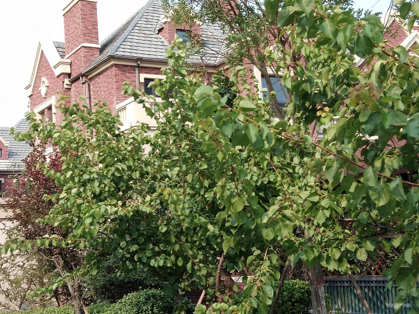 大厂潮白河孔雀城寓墅园送南北花园全地下395万房本满二售