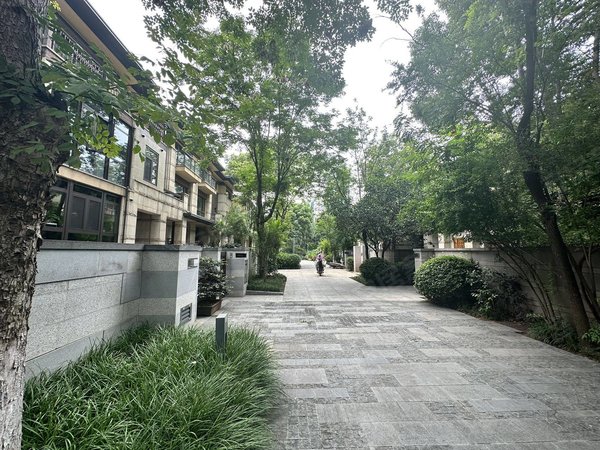 武汉洪山欢乐谷纯水岸东湖天樾(一期)徐东岳家嘴东湖绿道,华侨城别墅