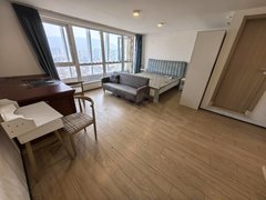 杭州临平临平杭州湾建材城，江南家居旁，朗诗枫荟精装朝南大主卧，付一押一出租房源真实图片