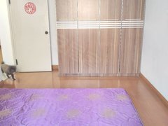 哈尔滨道里河润街阳明街五楼，两室一厅，全套家具家电，卓展附近，拎包入住。出租房源真实图片