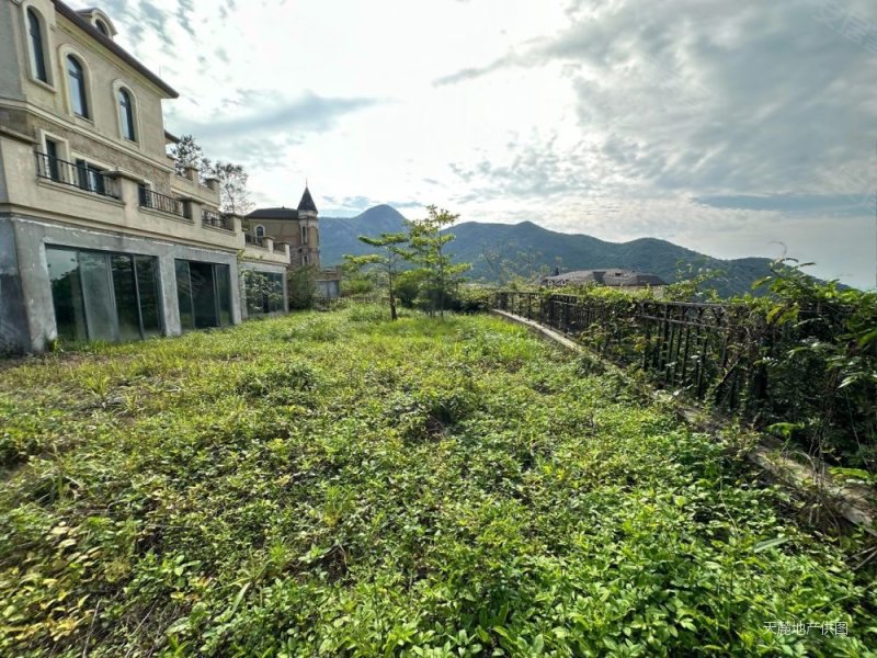 天麓(三区别墅)5室3厅5卫250.5㎡南北1630万