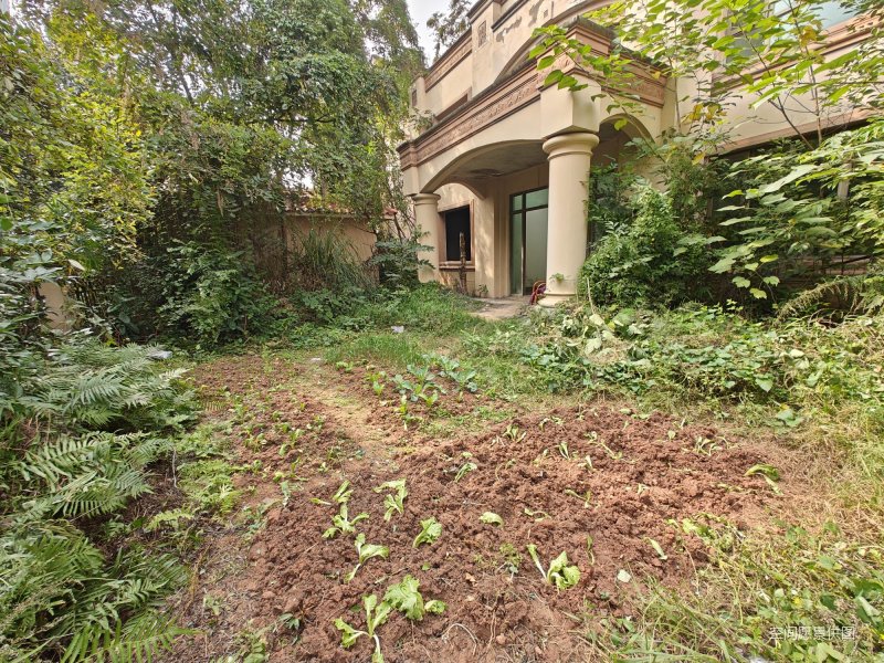 天府新区麓山大道独栋别墅带搭建出售