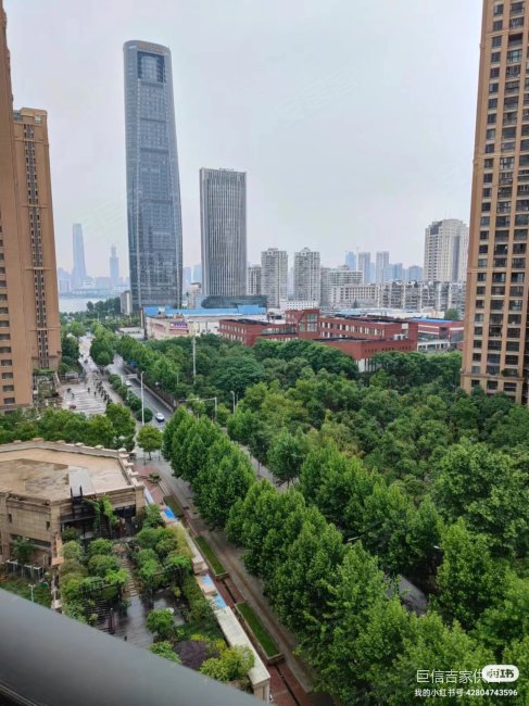 复地东湖 中北路 沙湖 中南医院 青鱼嘴4号8地铁精装 ,复地东湖国际四