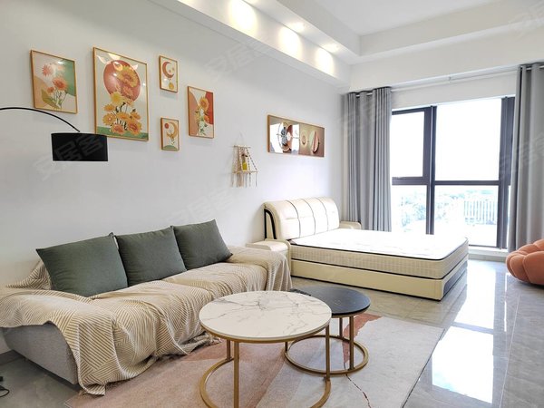 明月湖租房,m会员店 万达广场旁 宝龙公寓loft 精装朝南 金轮观湖旁