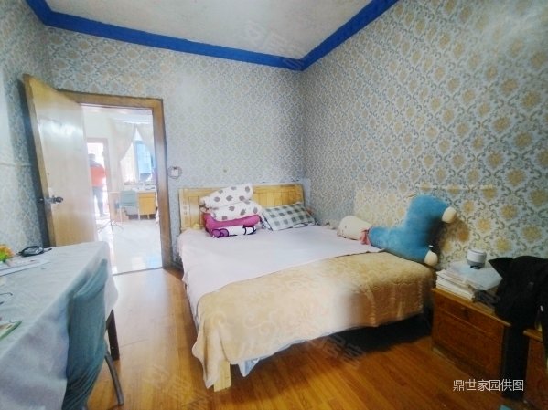 小东门地铁口 杏林苑 一室 低楼层 南北通透 65万诚售