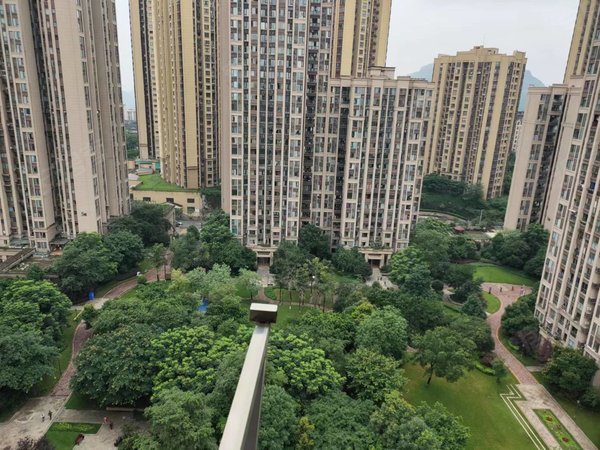 重庆长寿渡舟街道保利壹号公馆保利壹号!环境好!生活方便!拎包入住!