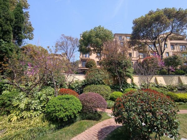 上海青浦赵巷龙湖滟澜山(二期公寓住宅)急租龙湖滟澜山顶复,4楼带阁楼