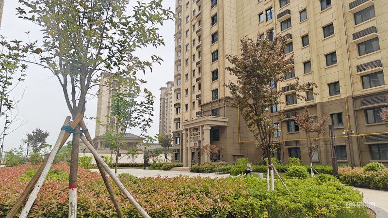 逸景佲园 高楼层采光充足 朝向好 带电梯 临地铁 新小区