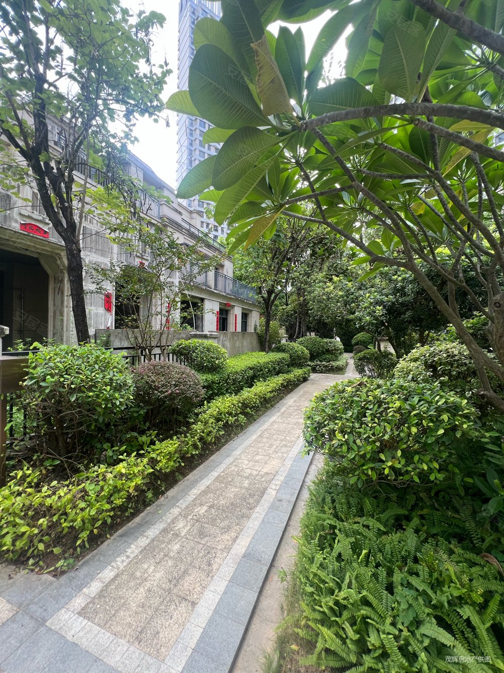 花园中间,泰丰千花岛(别墅)二手房,600万,5室3厅,3卫,165平米-惠州
