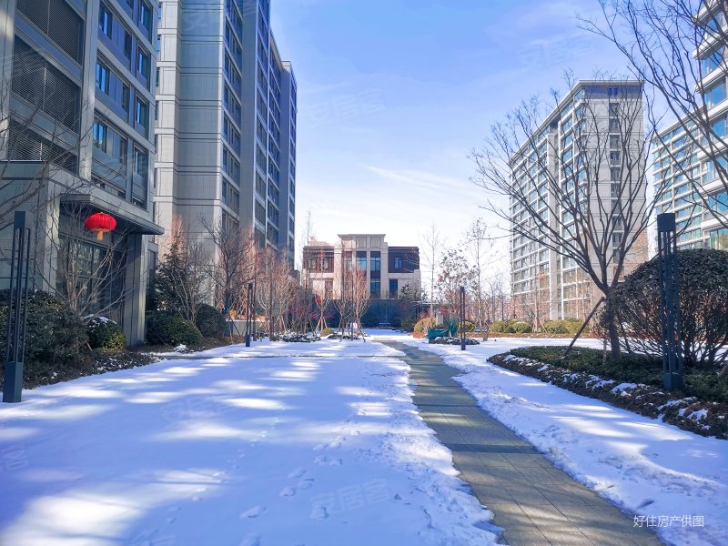 多层电梯洋房崂山壹号院精装未住一梯一户急售价可议