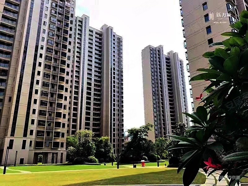 新力花园一期109南北通三房两卫只售88万高层视野好