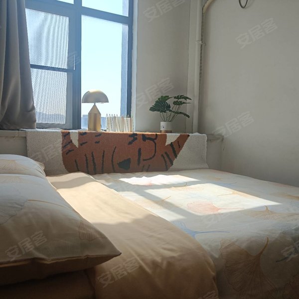 整租｜本月到访送床品 限时礼 武钢医院  青山公园 印象城 月付