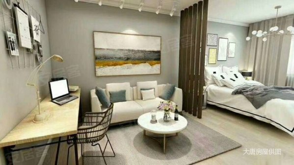 ncc红街 精装公寓loft 层高4.2米 双地铁