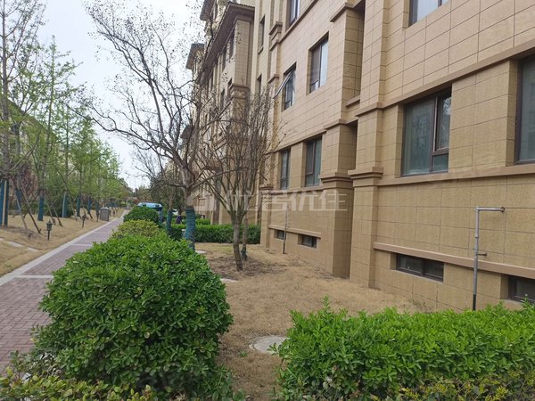 【多图】梦想望城(晨园),望城租房,南北通透 精装套三 装修绝绝子适合