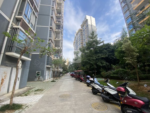 南宁青秀凤岭北凤岭名园业主急租,繁华地段,交通便利,随时看房 可谈!