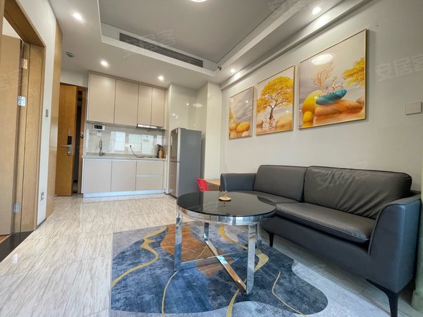 深圳龙华民治汇德大厦深圳北站,46号线地铁,精装修单身公寓,家电齐全