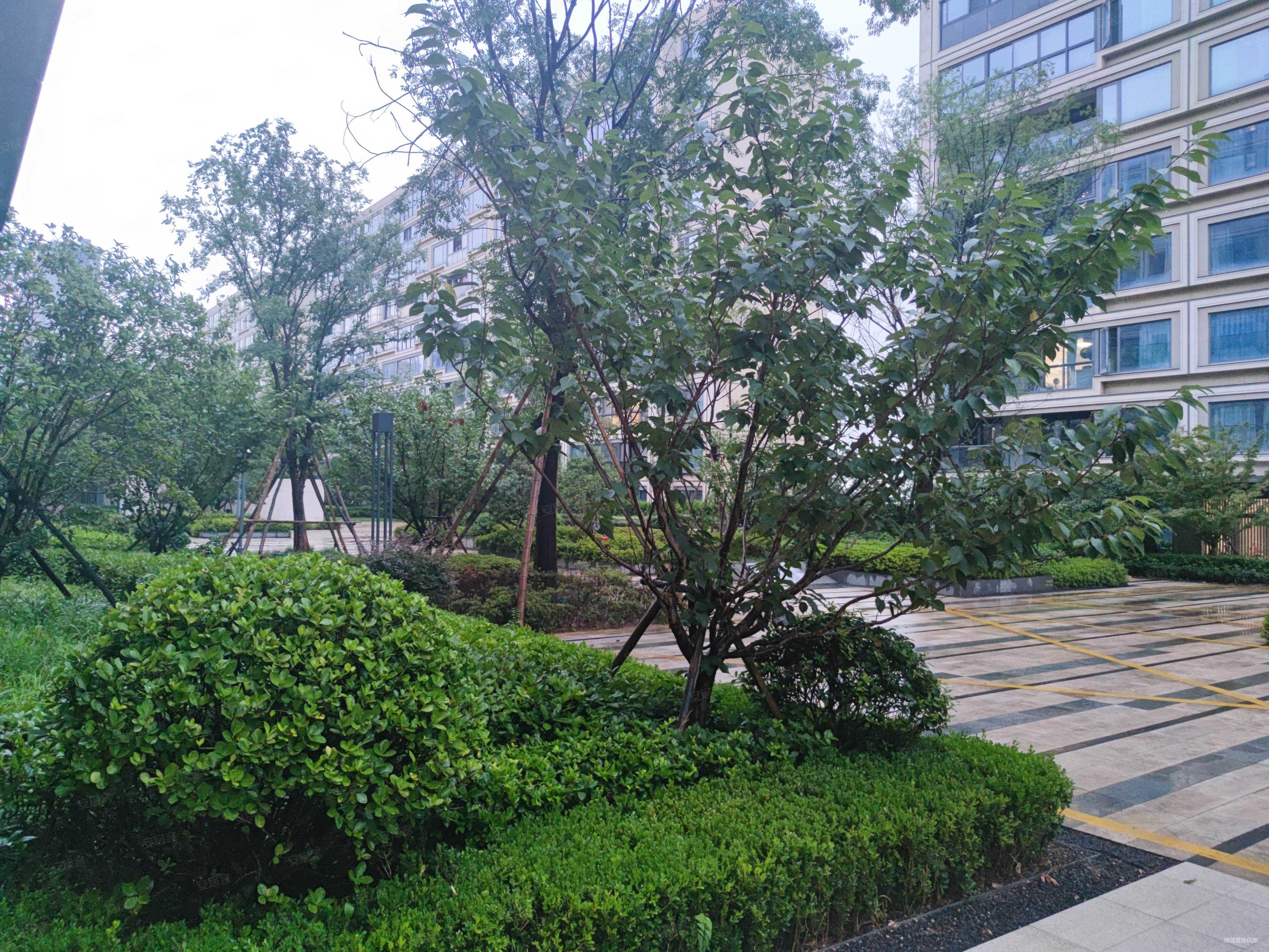 21平方米,杨柳郡二手房,365万,3室2厅,2卫,109.21平米-宁波安居客